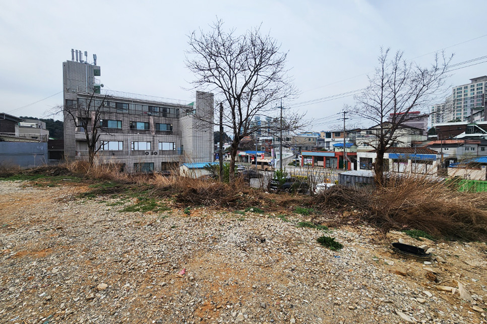 기본정보 이미지